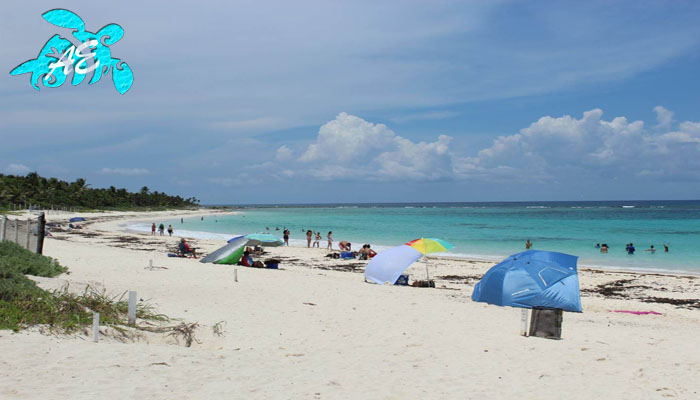 family vacation rentals akumal beach